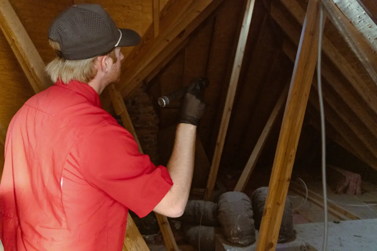 attic technician inspection