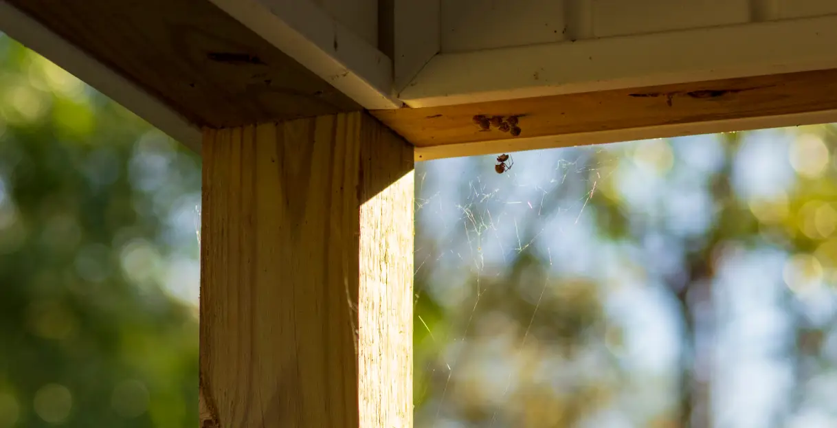 eave corner entry point