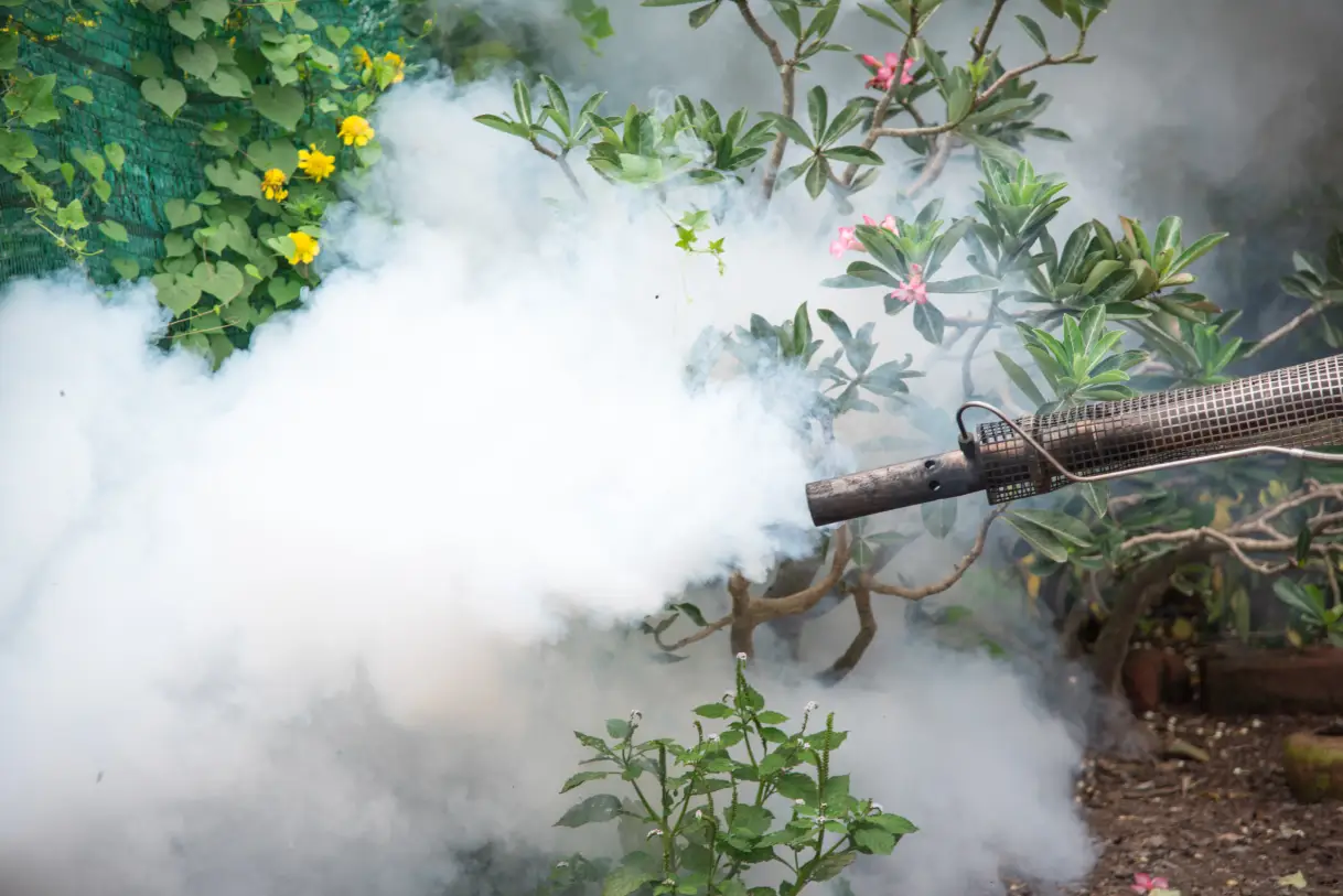 Last Call for Mosquitoes: Mosquito Season in Texas Isn’t Over Yet