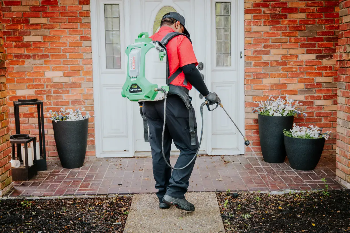 professional pest control